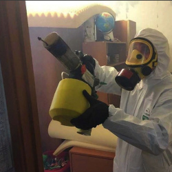 Уничтожение клопов в квартире. Буйнакск